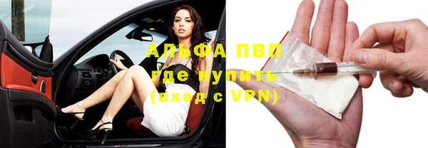 дмт Абаза