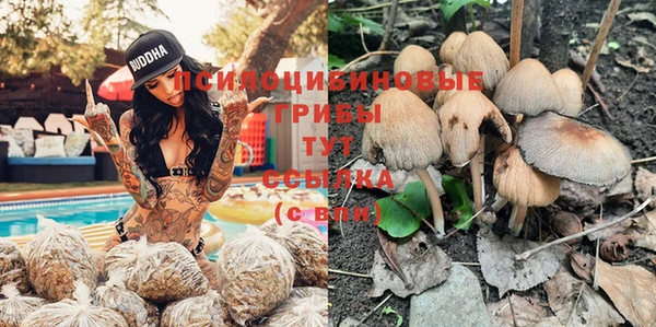 тгк Абдулино