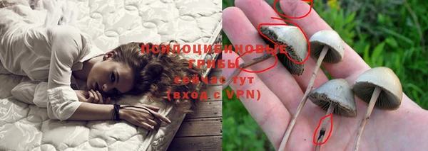 тгк Абдулино